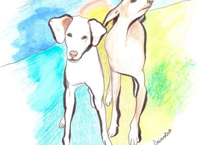 El futur de la felicitat