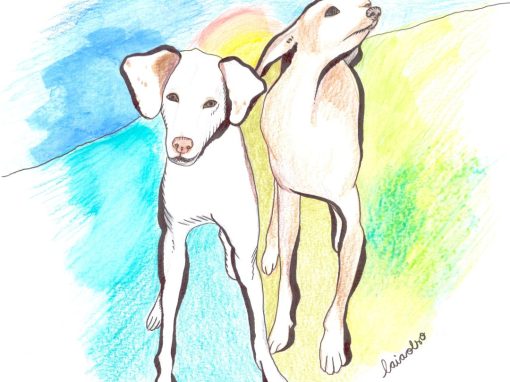 El futur de la felicitat