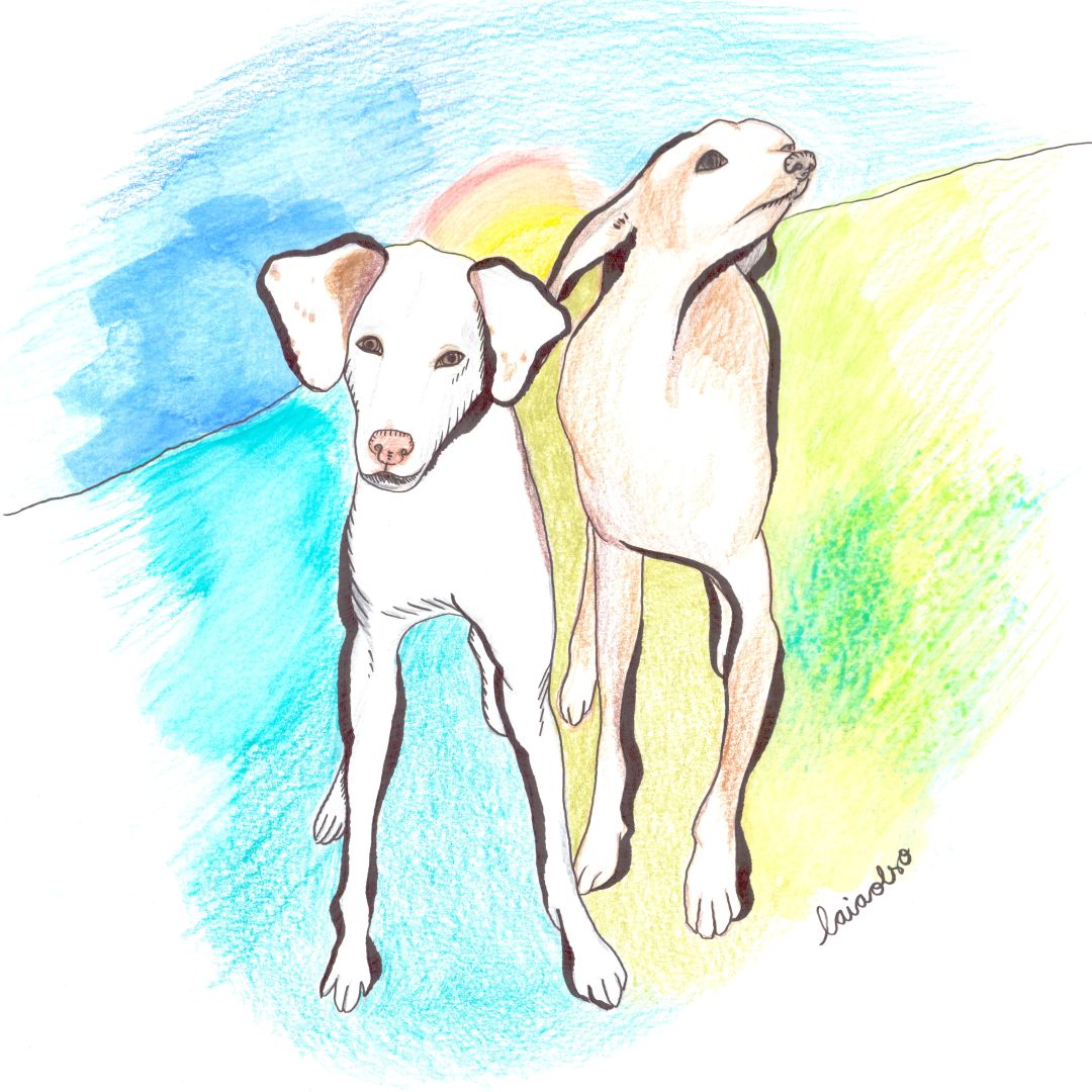 Els meus amors Beto i Lola són dos ingredients de la meva felicitat